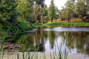 Similar image 665210