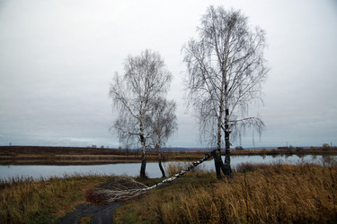 Similar image 665212