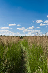 Similar image 665321