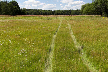 Similar image 665324