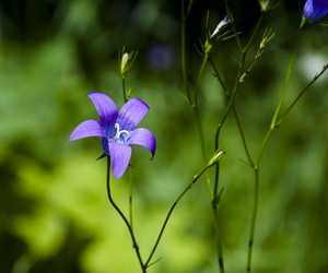 Similar image 665328