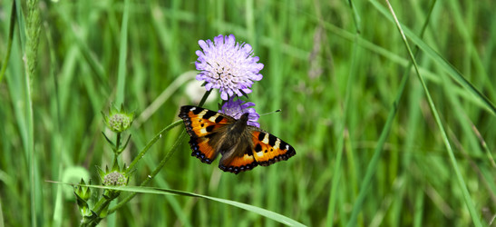 Similar image 665355