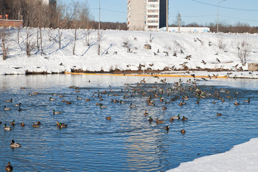 Similar image 665360