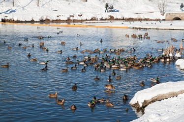 Similar image 665364