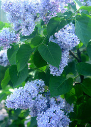 Similar image 665452