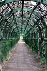 Similar image 665465