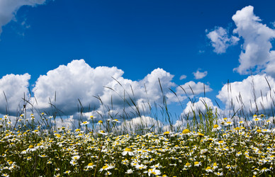 Similar image 665480