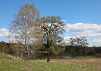 Similar image 665510