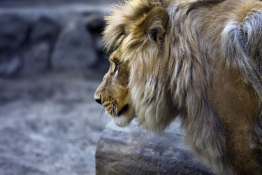 Similar image 665511