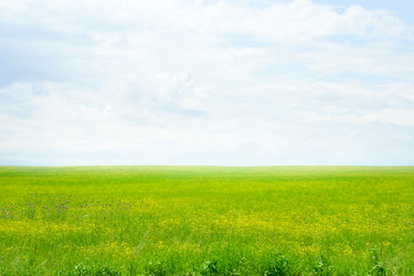 Similar image 665528