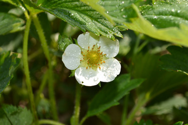 Similar image 665609