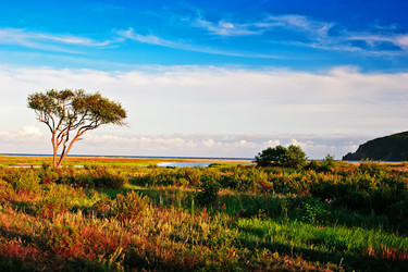 Similar image 665621