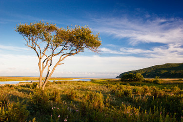 Similar image 665622