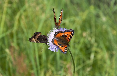 Similar image 665668