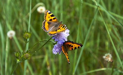 Similar image 665669