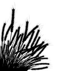 Similar image 665792