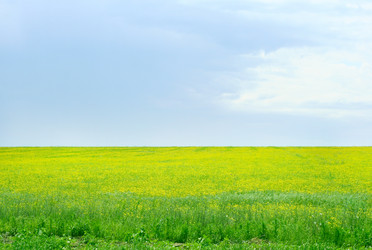 Similar image 665849