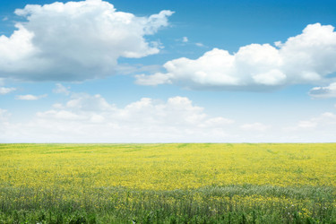 Similar image 665851