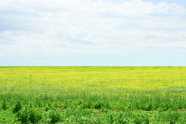 Similar image 665855