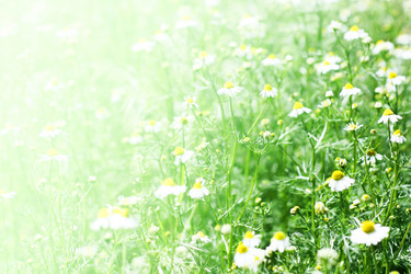 Similar image 665869