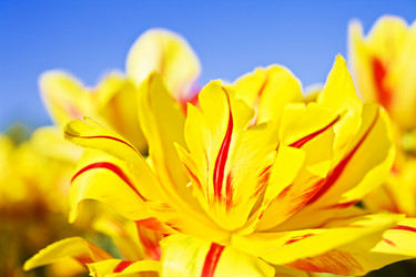 Similar image 665871