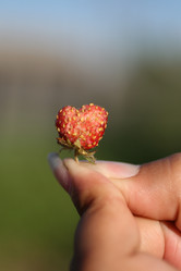 Similar image 665894