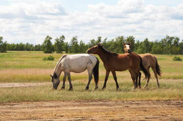 Similar image 665896