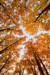 Similar image 666010