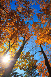 Similar image 666012