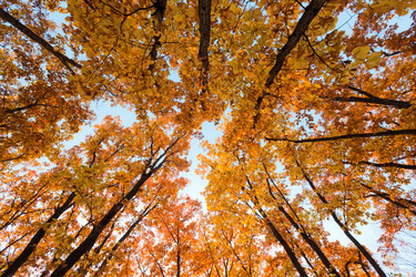 Similar image 666013