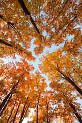 Similar image 666014