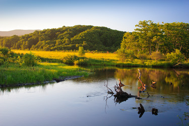 Similar image 666026