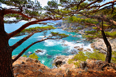 Similar image 666052