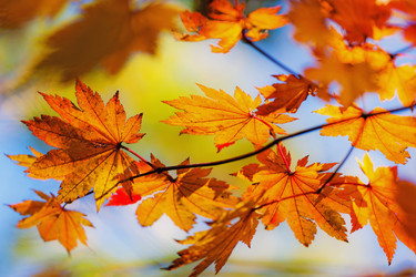 Similar image 666060