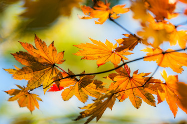 Similar image 666061