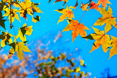 Similar image 666062