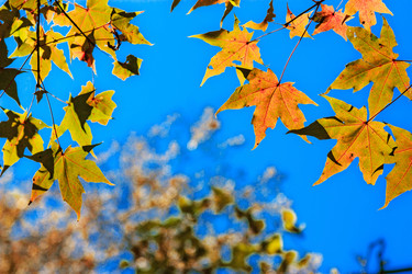 Similar image 666063