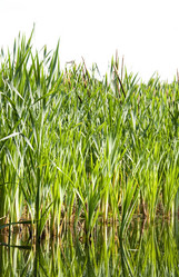 Similar image 666079