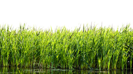 Similar image 666080