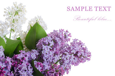 Similar image 666108