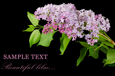 Similar image 666109