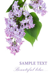 Similar image 666111