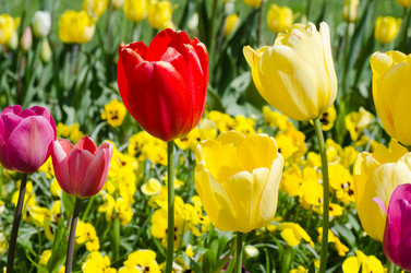 Similar image 666119