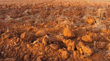 Similar image 666122