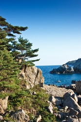 Similar image 666146