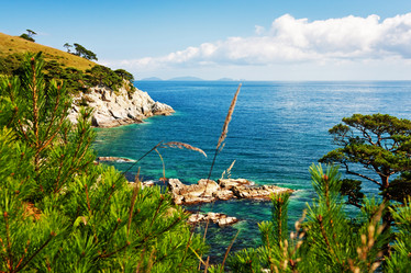 Similar image 666166