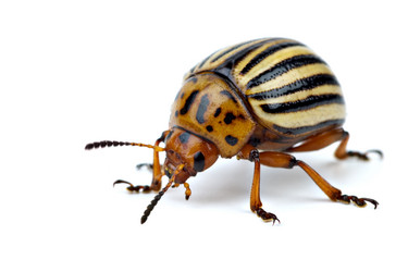 Similar image 666187