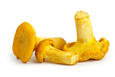 Similar image 666205