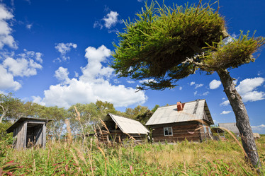 Similar image 666209