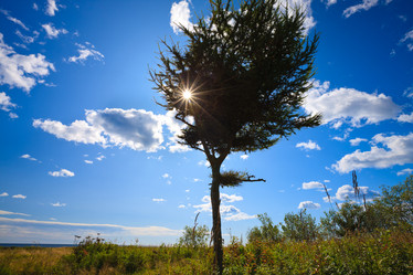 Similar image 666237